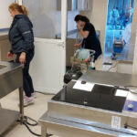 casa-cook_20220415_154159